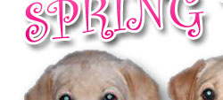 Started Puppies