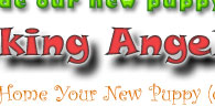 Click to order