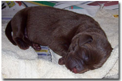 Sleeping like a baby