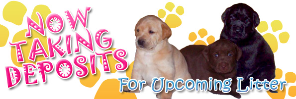 Now Taking Deposits for Upcoming Litter